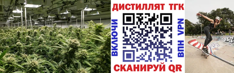 Дистиллят ТГК Wax  Гороховец 