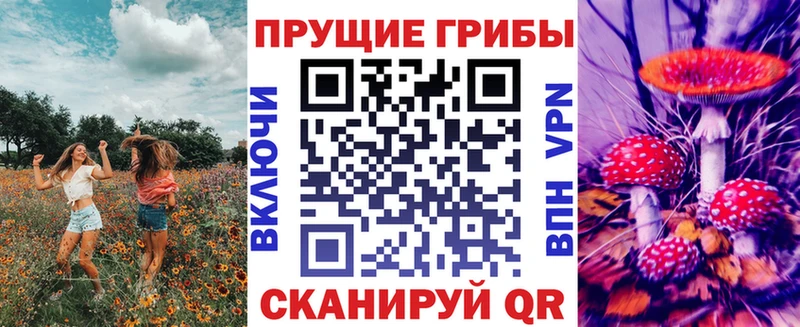Галлюциногенные грибы Psilocybe  MEGA ссылка  Гороховец  наркошоп 